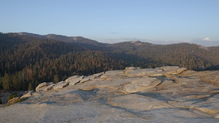 A rock cliff overlooks a forest in the daytime