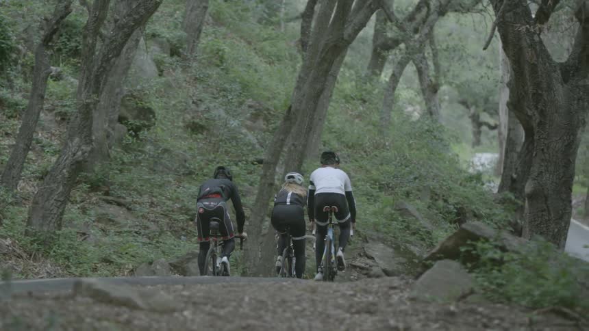 Cyclists on a road in a forest setting
