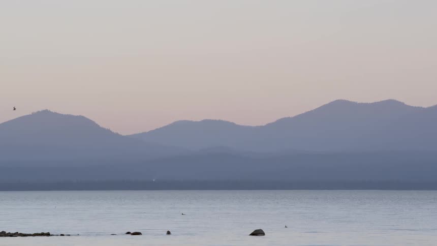 A bird flies over a body of water with mountains in the background