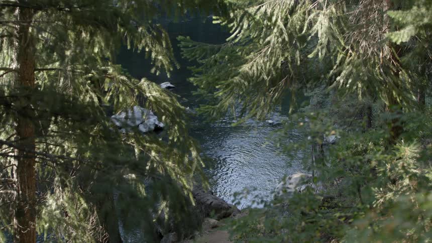 A river ripples and flows through a forest