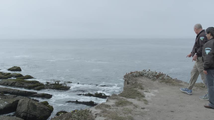 A man and woman walk to the edge of a cliff overlooking the ocean