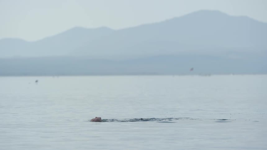 A person swimming in a lake or pond and there are mountains in the background