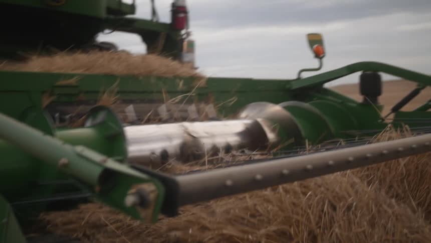 Front of an agricultural harvester machine in the field in action