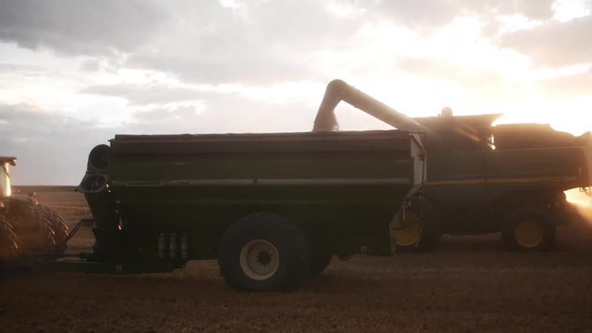 Tractor and a combine harvester in action on a farm field with the golden sun on the horizon