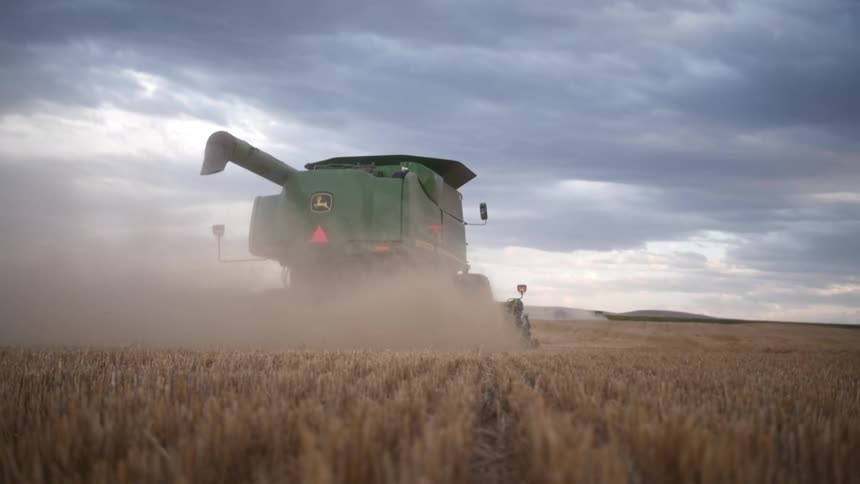 A large agricultural tractor driving in a field of beige vegetation and blowing out smoke