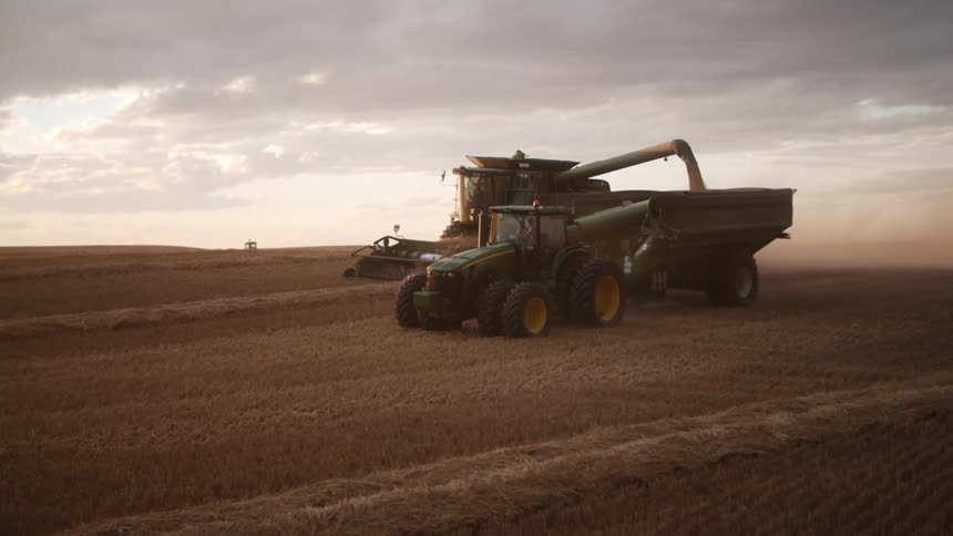 Tractor and a combine harvester working in an agricultural field on a cloudy morning