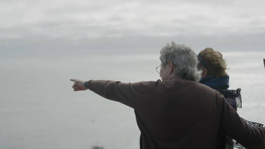 A man points out into the water