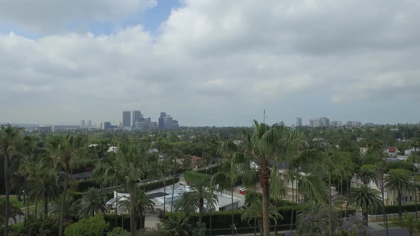 An aerial view of a city filled with tall palm trees and buildings