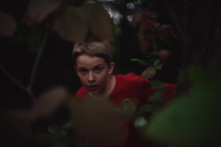 A boy in a red tshirt hides in the dark green forest