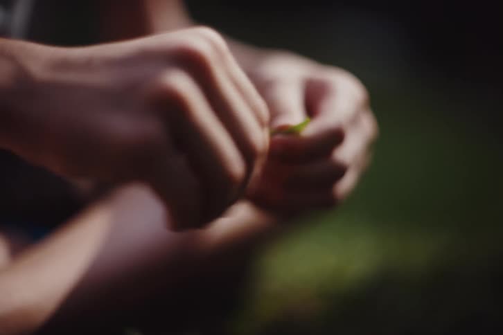 Youth sitting on the ground outdoors during the summer pulls a leaf apart