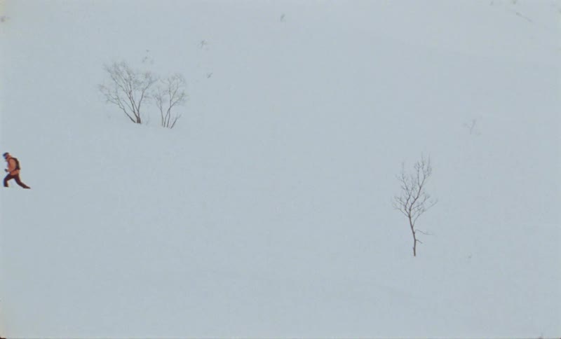 Person with ski equipment walking on snowy mountain