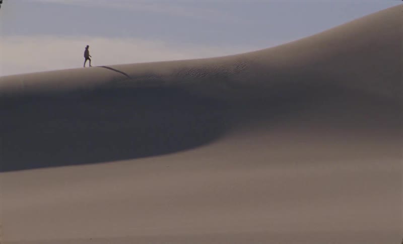 Person walking through the desert