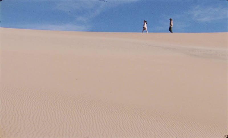 A clip of people walking the desert
