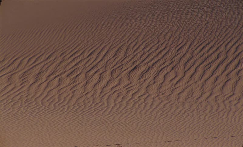 The landscape is covered with sand