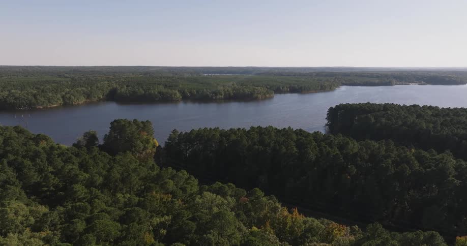 Aerial of a lake surrounded by a deciduous forest on a sunny day