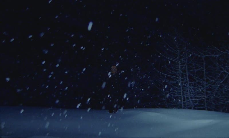 A person is standing in the dark as it snows