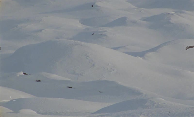 Top view of snow dunes