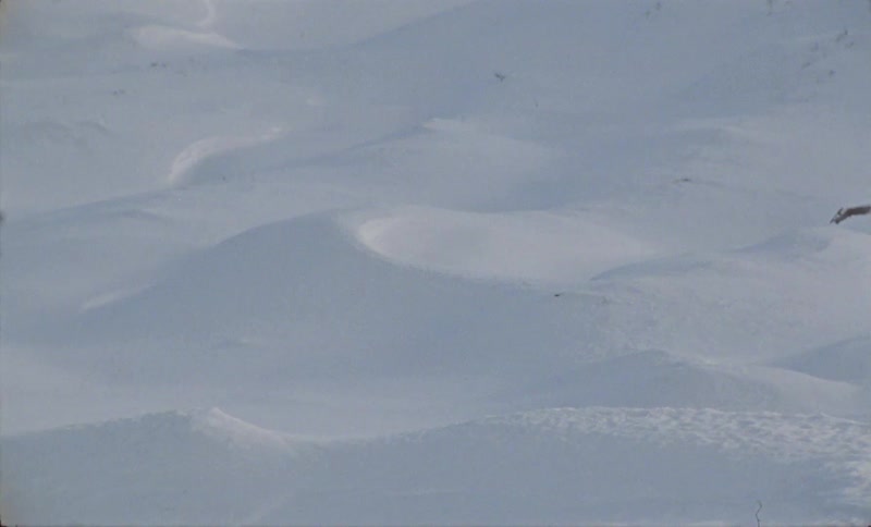 A clip of an ice mountainous area in the arctic