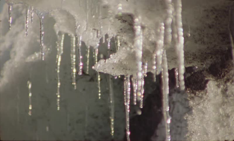 Close up of icicles melting and dripping
