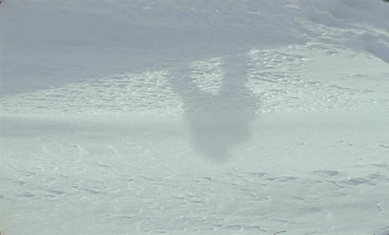 A shadowy figure walking on a shimmering snowcovered surface