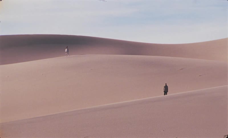Two people are standing facing forward without moving on a sand dune in a desert