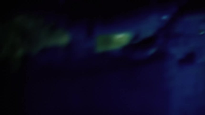 Abstract closeup of glowing organic shapes in vibrant colors