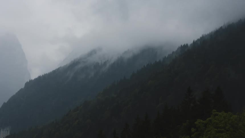 A misty mountain landscape with dense dark forests shrouded in fog