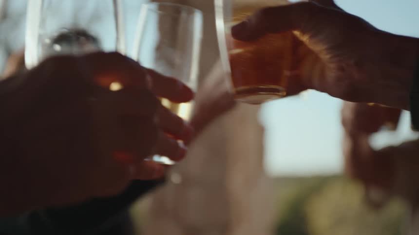 A group of people clinking glasses of beverages in a cheerful outdoor setting with the background slightly out of focus