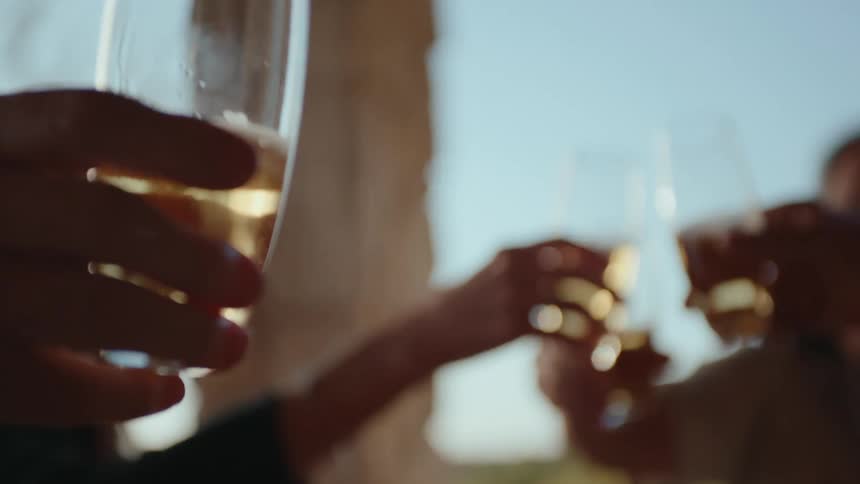 Group of people toasting with glasses