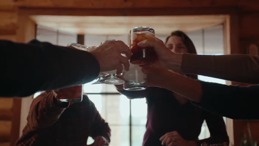 A group of people are toasting each other with drinks in a log cabin