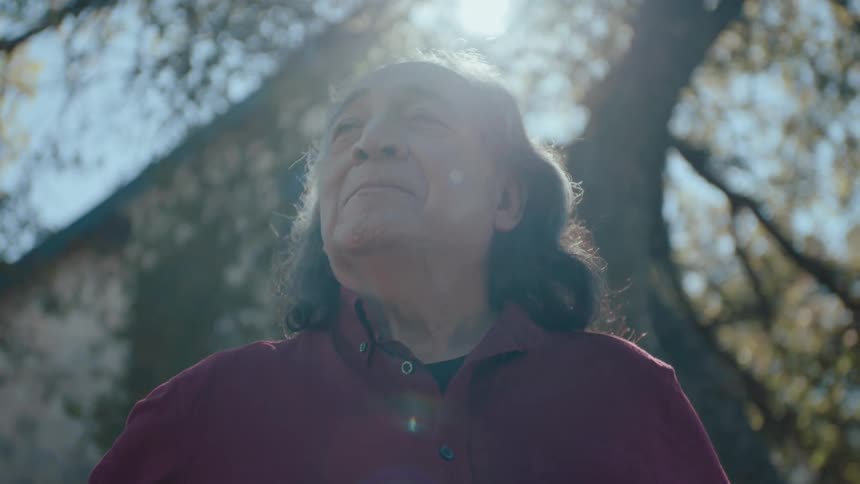 Portrait of an elderly man under a tree and daylight