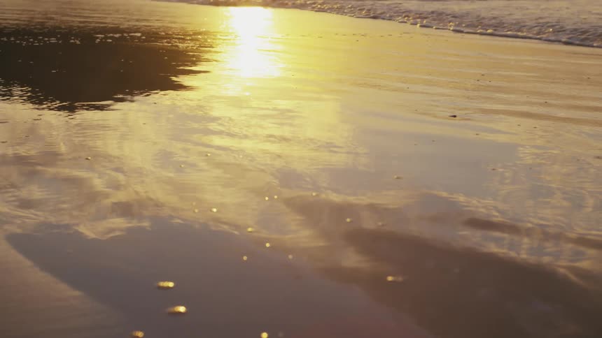 Golden sunlight reflects on the wet sand of a beach at sunset