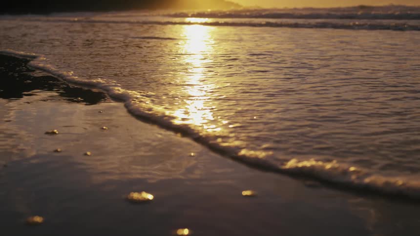 Golden sunlight reflects on the wet sand of a beach at sunset