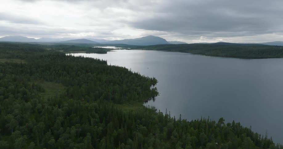 An aerial clip of a forest close to the lake