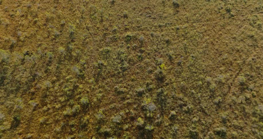 An aerial view of a flat region with low vegetation that is greenish and somewhat yellowish