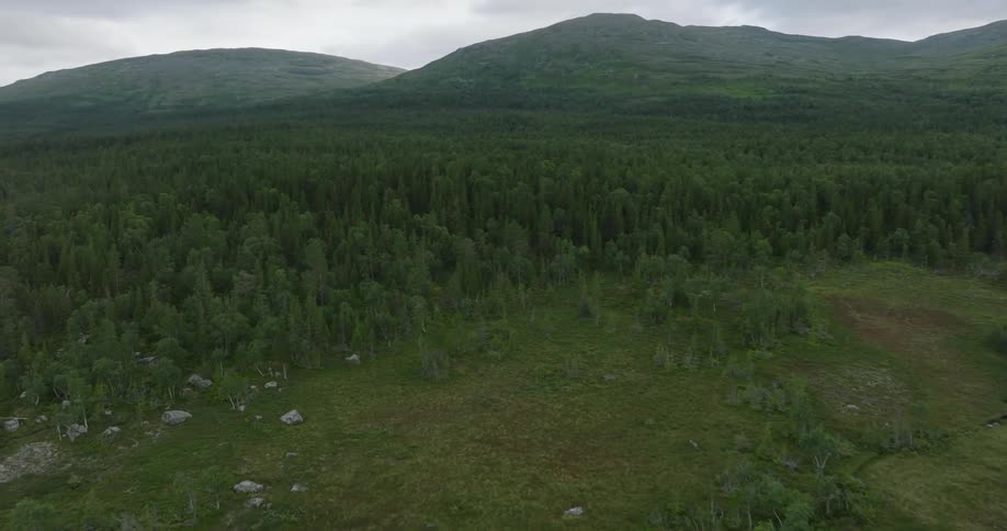 Aerial view of a heavily wooded area and grassland with some mountains behind it