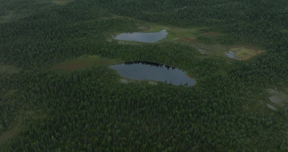 An aerial view of two small dark lakes nestled in a dense evergreen forest