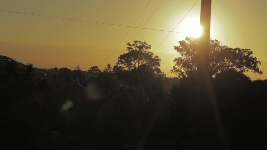 View of a sunrise over some trees