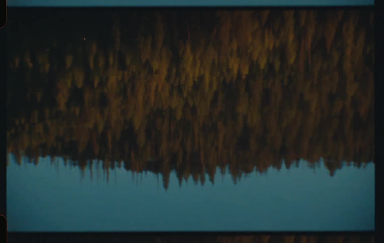 An evergreen forest is reflected in a body of water at dusk