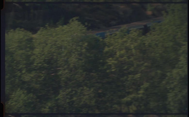 A blue subway train speeds through a lush dark foliage