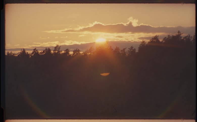 The sun is rising behind a silhouette of pine trees