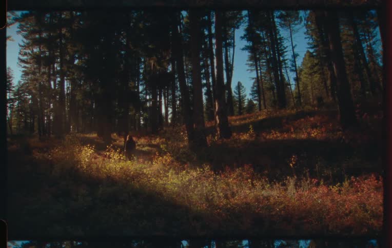 Woman walking through a field with tall trees