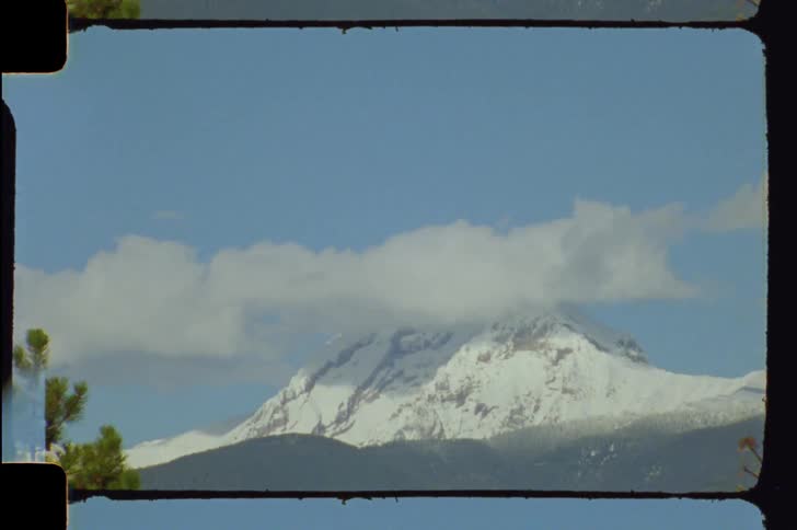 Natural landscape with vegetation in the foreground and a snowcovered mountain in the background