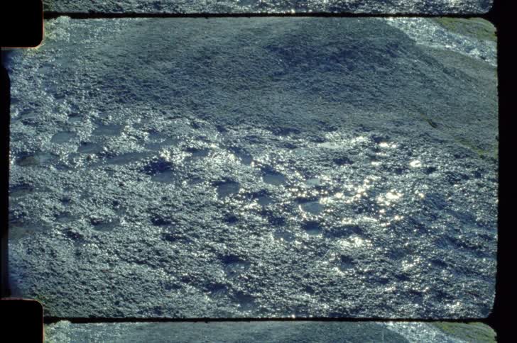 A close up view of what appears to be mud or wet ground with numerous small shallow depressions possibly footprints glistening in sunlight