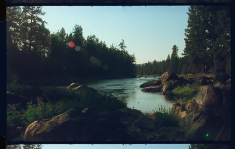 Boulders sit next to a stream passing through a conifer forest