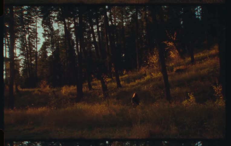 Woman walking through a forest in the late afternoon
