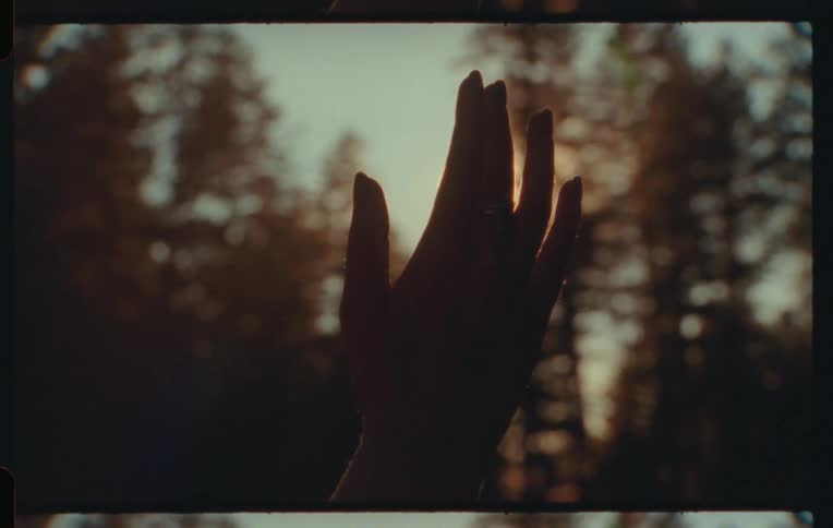 Person holds their hand up to be partially silhouetted against the sun while near conifers