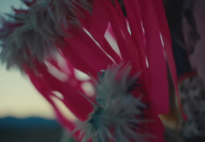 Feathers from a native american garment