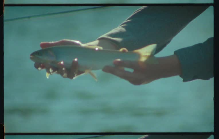 Human hands holding a fish with its mouth moving up and down
