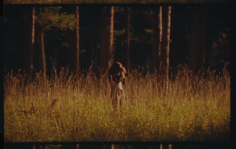 Woman in a field in the late afternoon using a camera with trees in the background